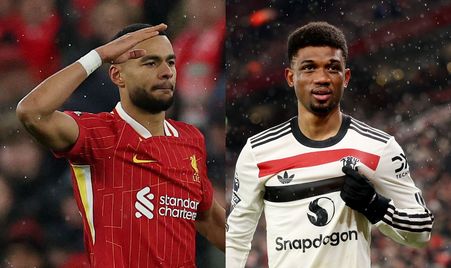 成鲜明对比 成鲜明对比