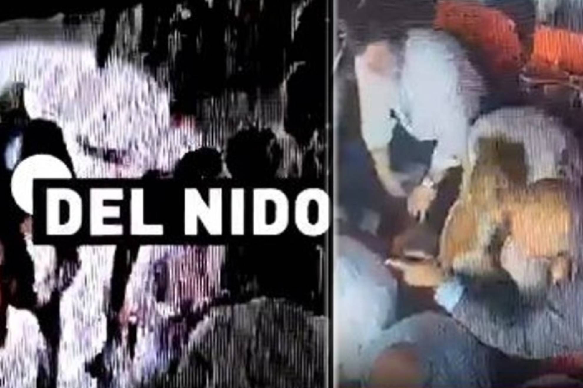 身特点的品 身特点的品